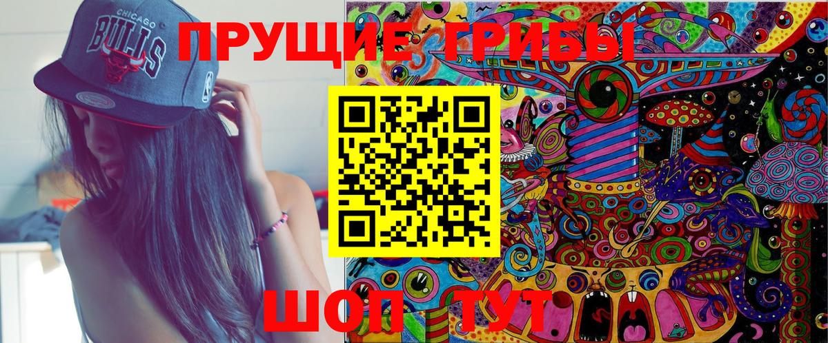 Псилоцибиновые грибы мицелий Конаково